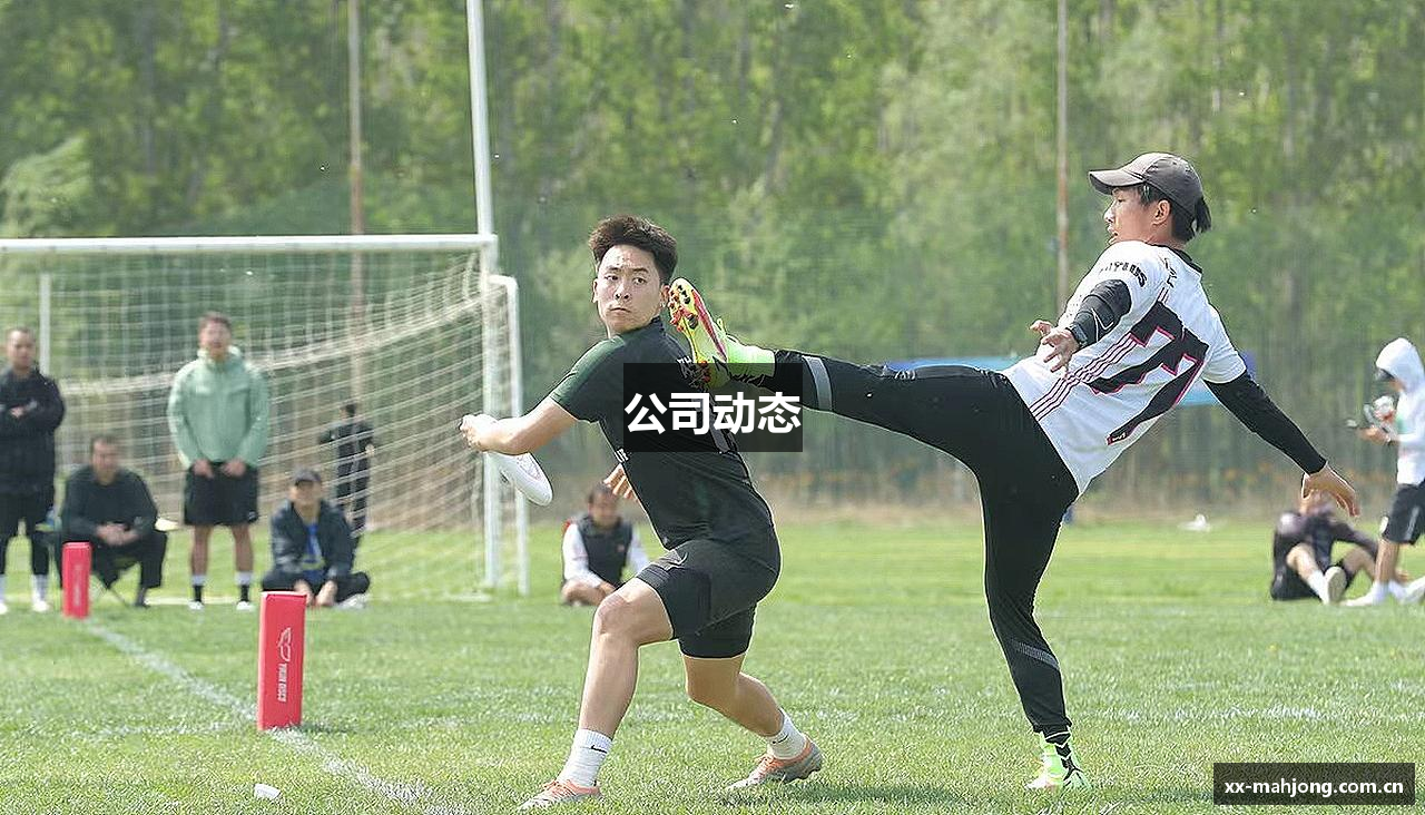 公司动态